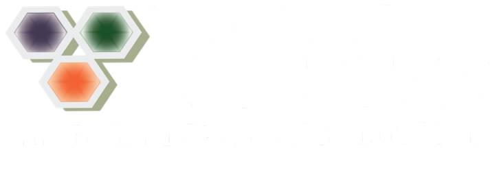 R Mo Global Diversity Solutions
