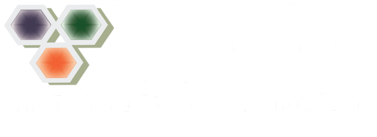 R Mo Global Diversity Solutions